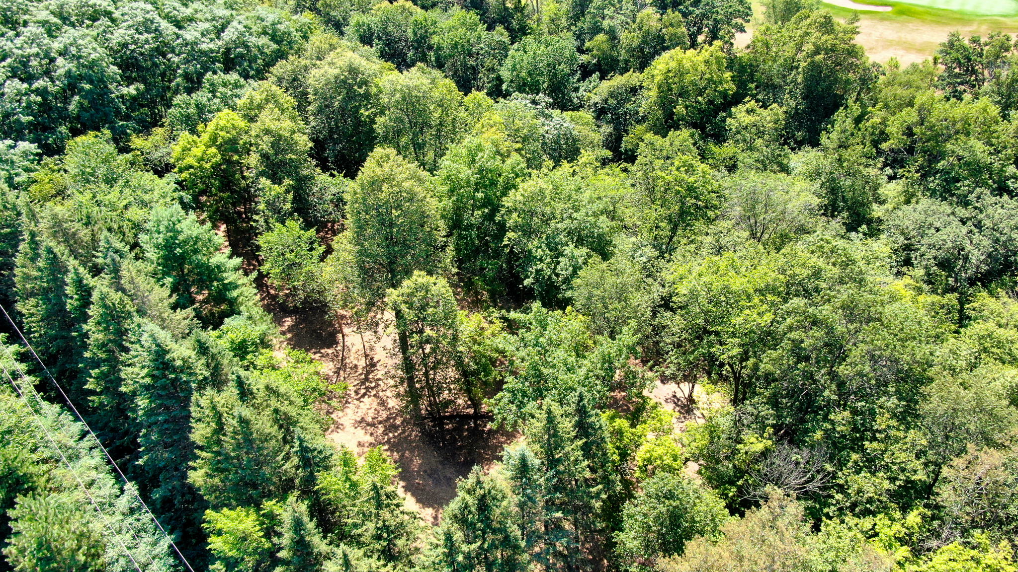 14XXX Dellwood Rd Photo 10