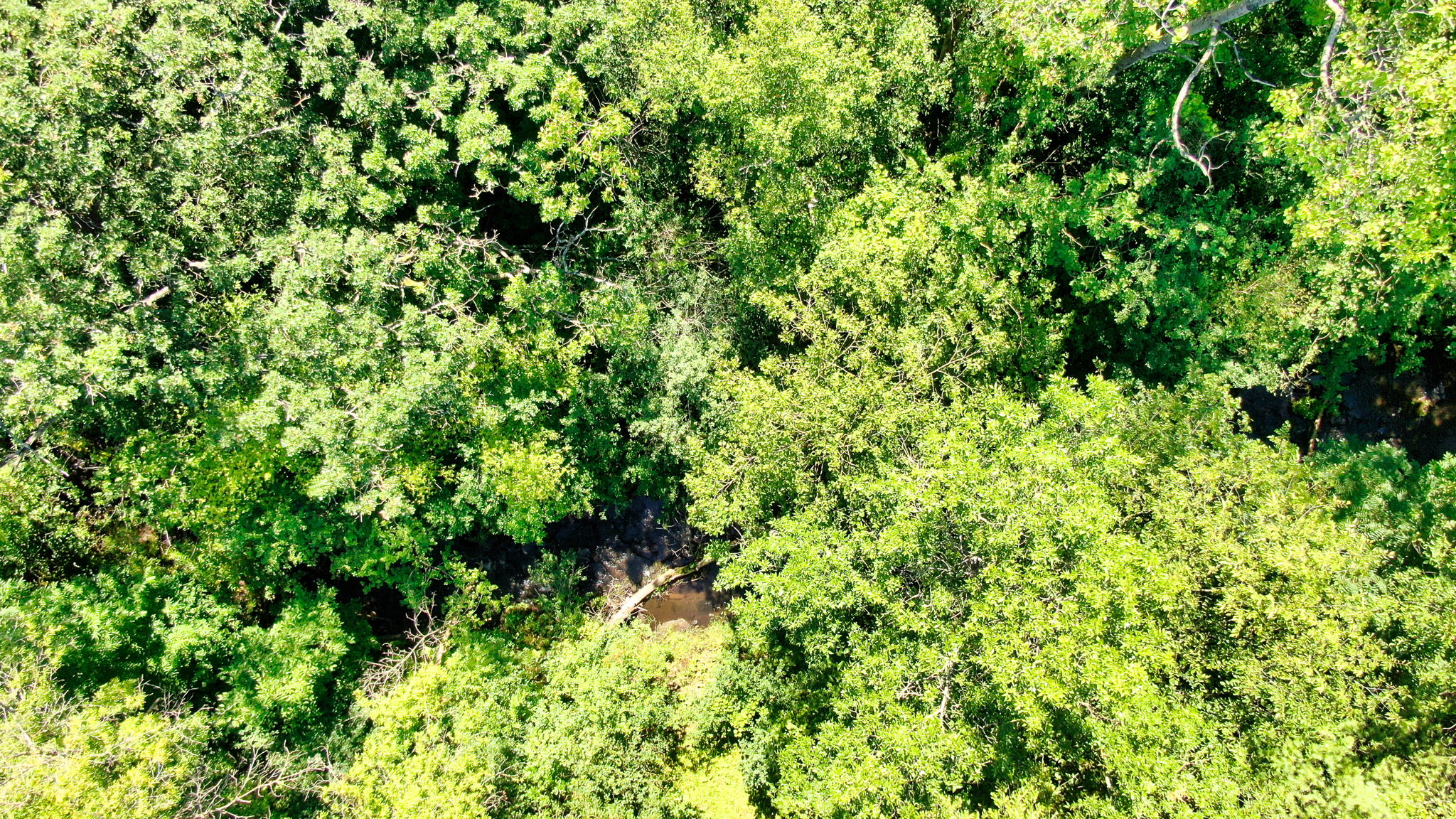 14XXX Dellwood Rd Photo 45