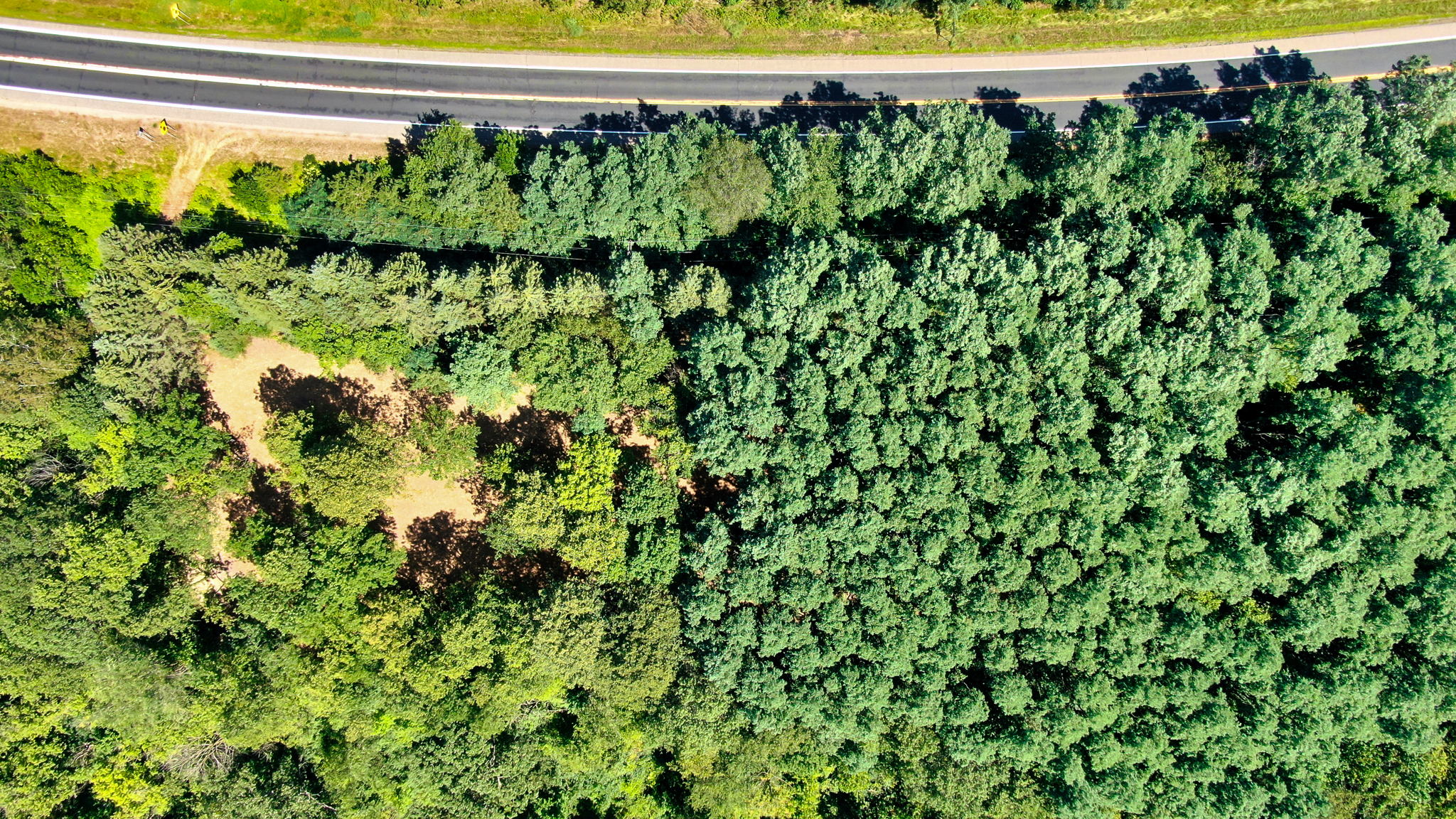 14XXX Dellwood Rd Photo 35