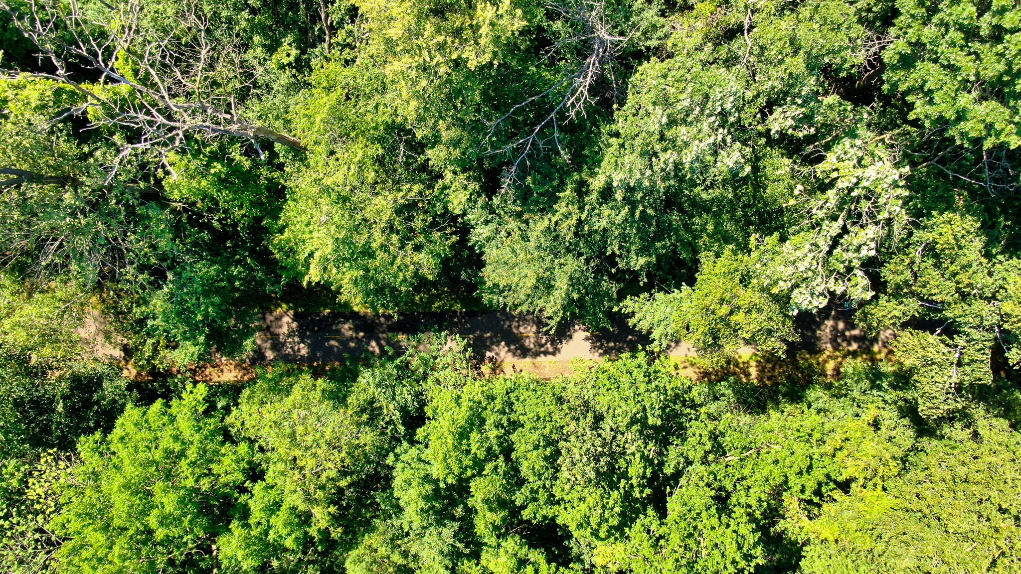 14XXX Dellwood Rd Photo 36