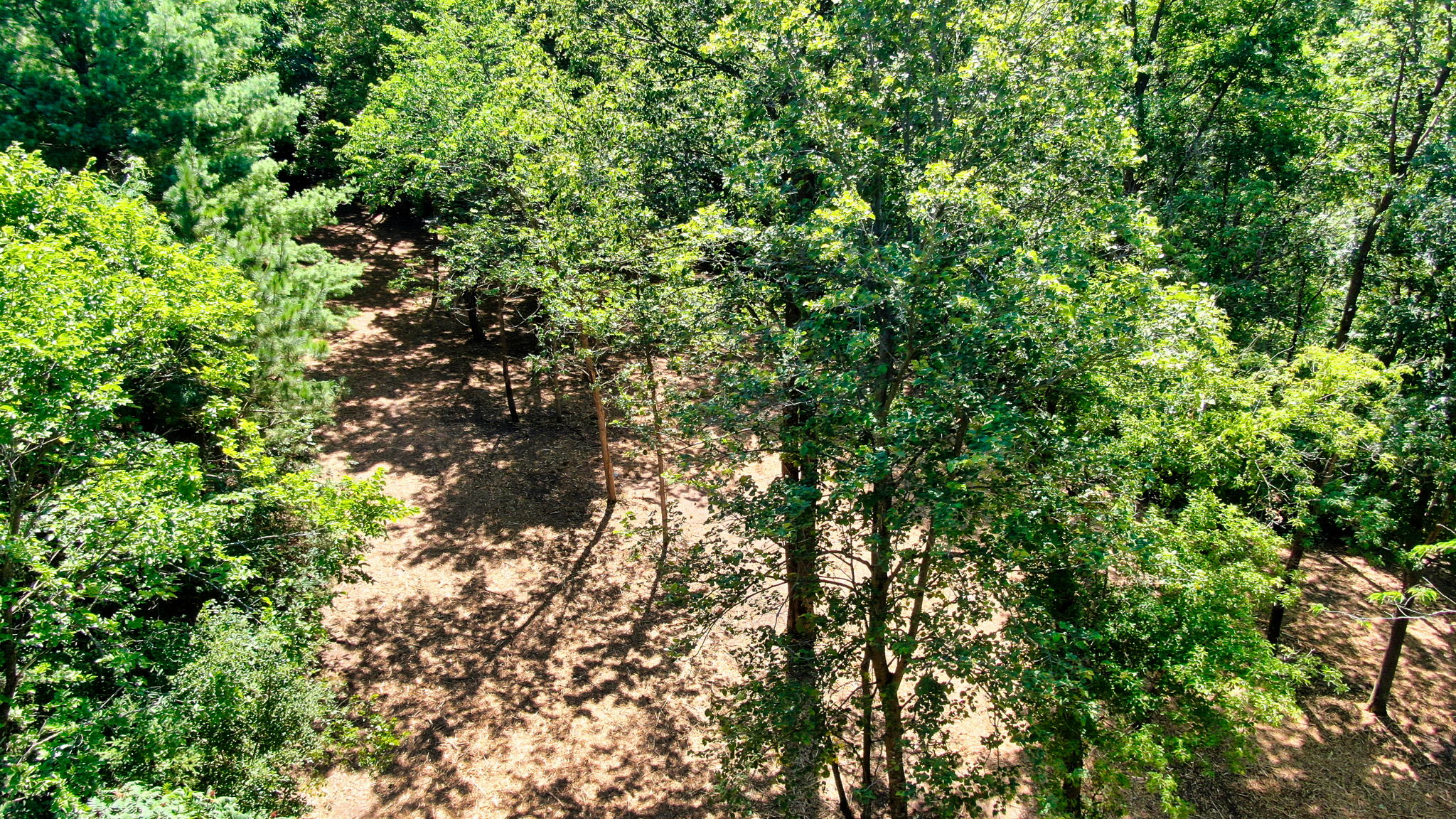 14XXX Dellwood Rd Photo 4