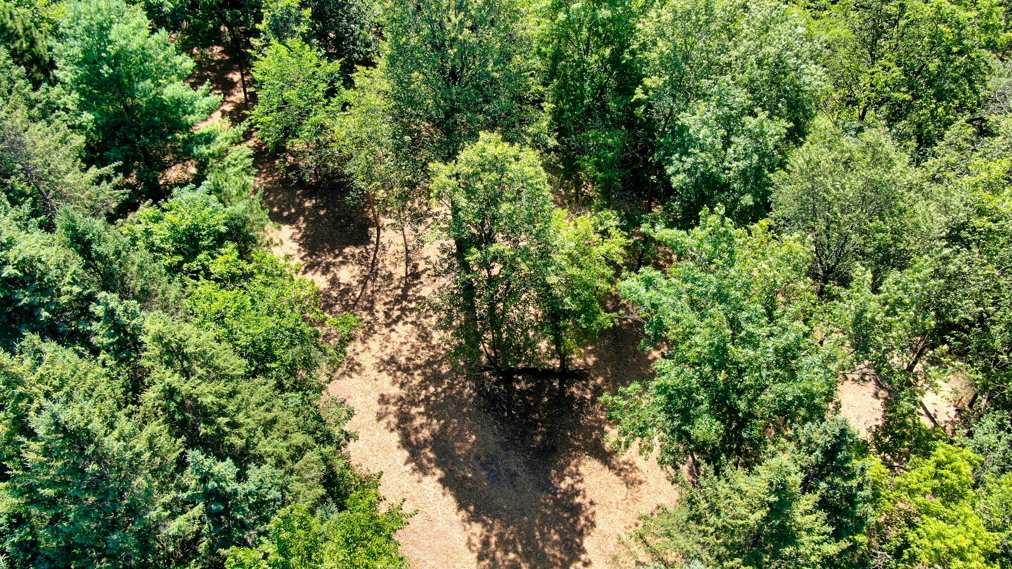 14XXX Dellwood Rd Photo 9