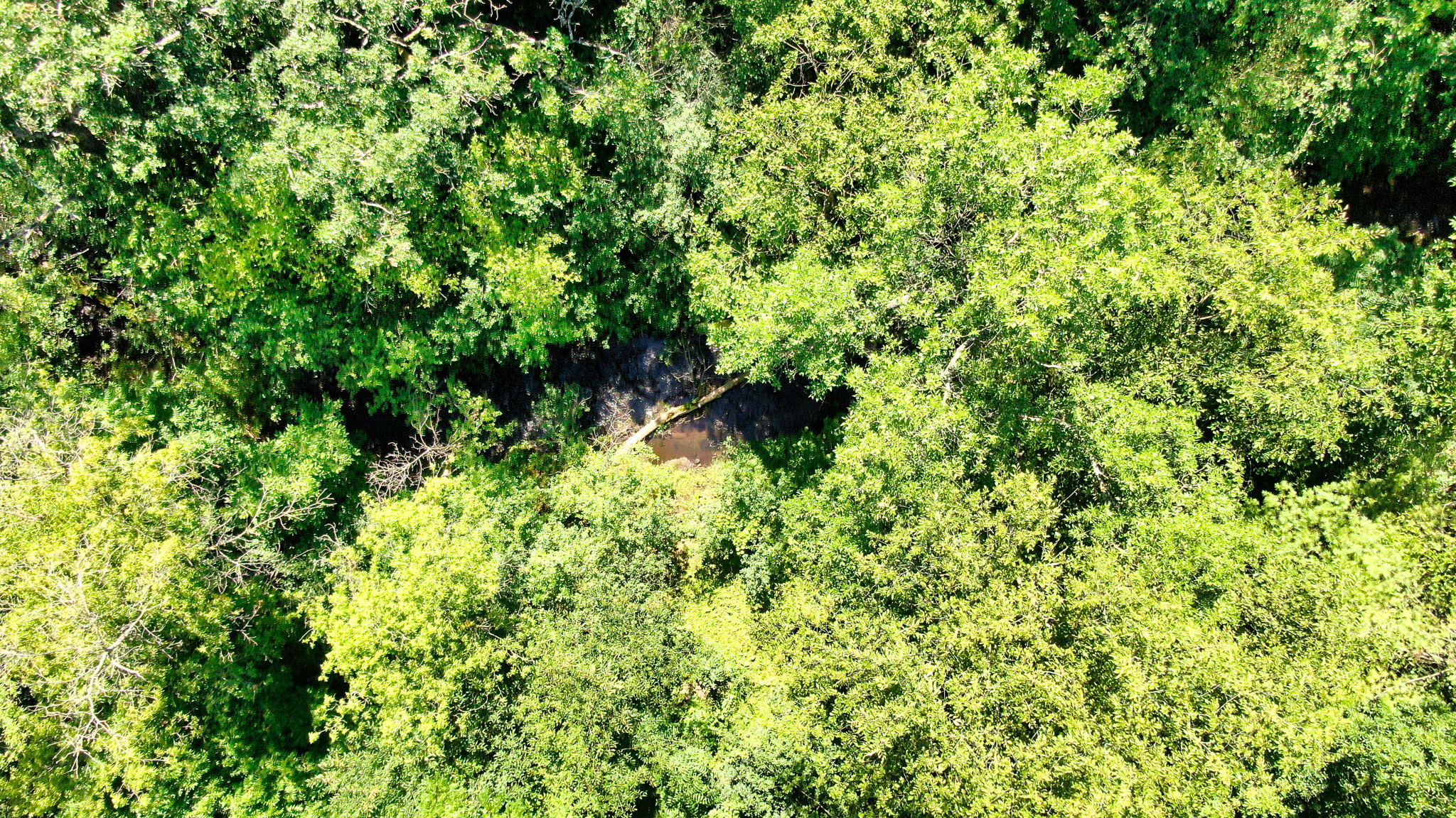 14XXX Dellwood Rd Photo 44