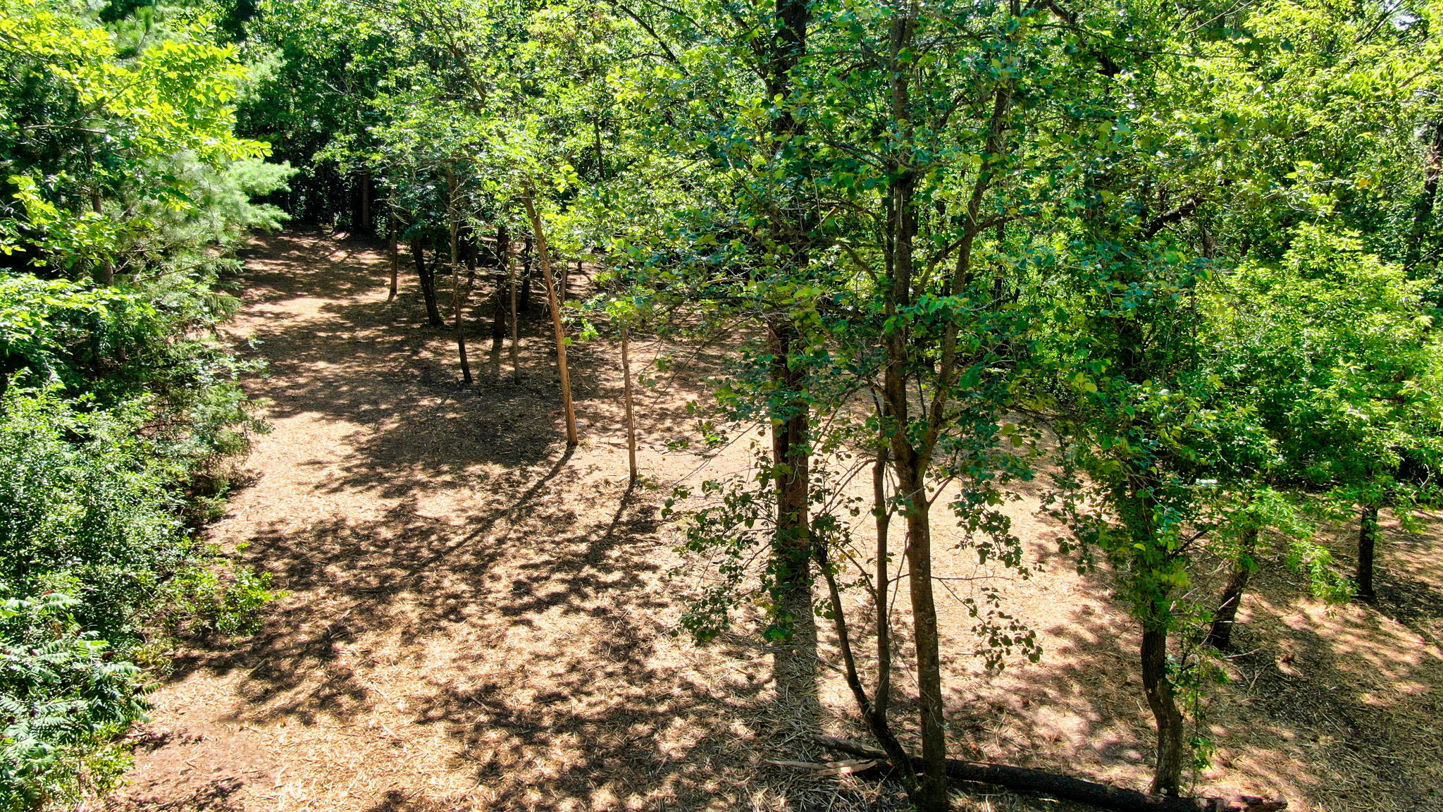 14XXX Dellwood Rd Photo 3