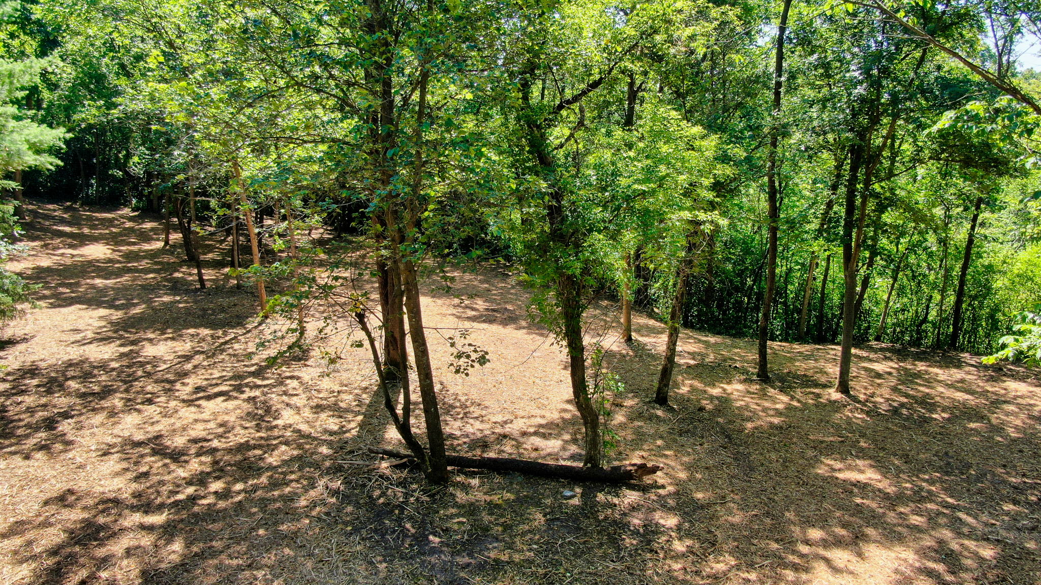 14XXX Dellwood Rd Photo 7