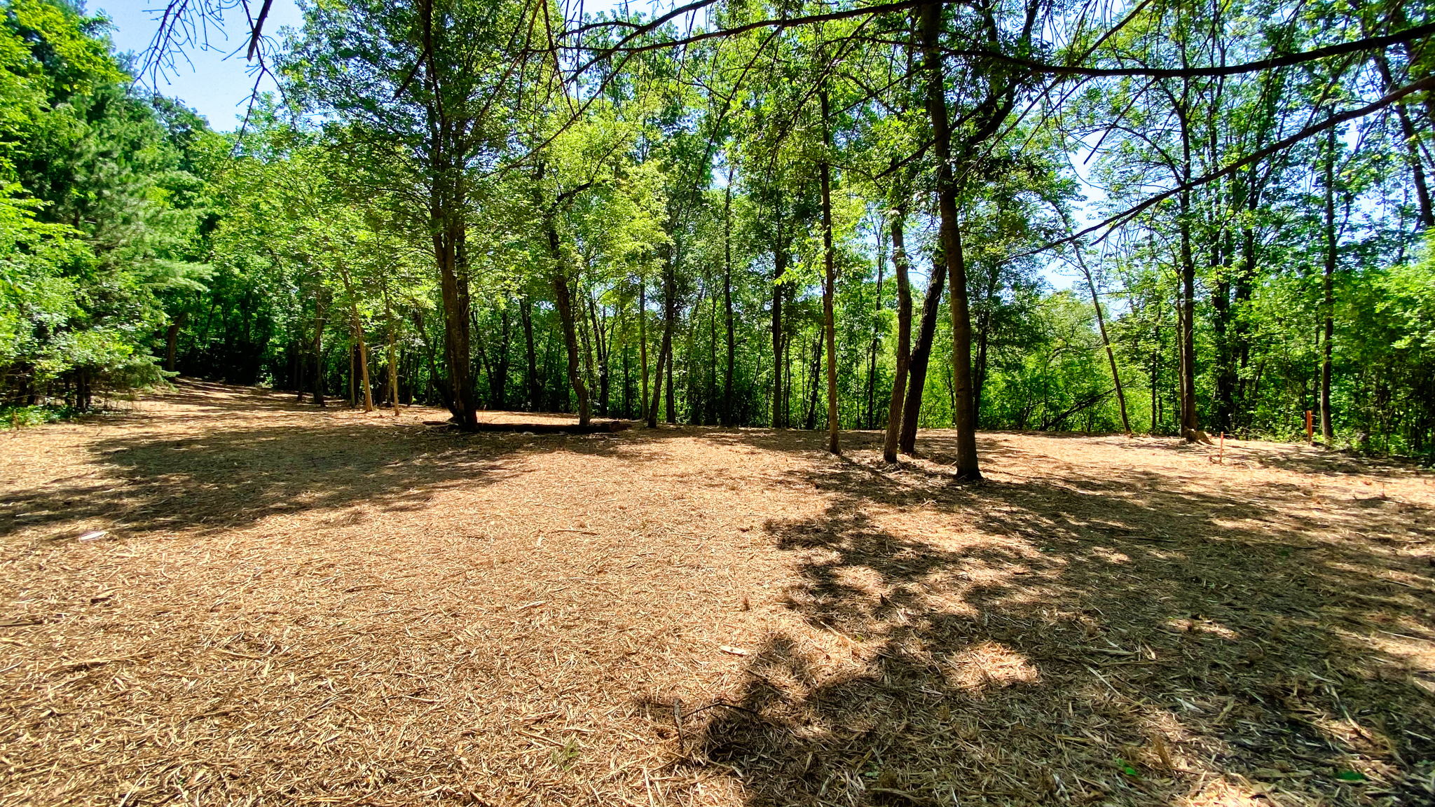 14XXX Dellwood Rd Photo 56