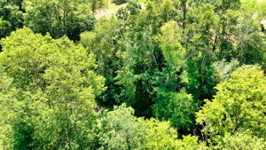 14XXX Dellwood Rd Photo 46