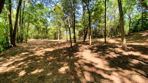 14XXX Dellwood Rd Photo 53