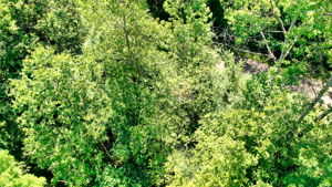 14XXX Dellwood Rd Photo 47