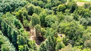 14XXX Dellwood Rd Photo 9