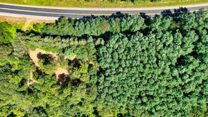 14XXX Dellwood Rd Photo 34