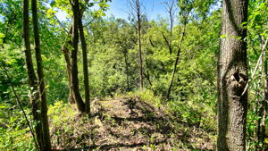 14XXX Dellwood Rd Photo 51