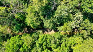 14XXX Dellwood Rd Photo 35