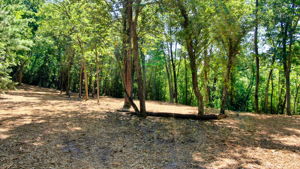 14XXX Dellwood Rd Photo 0