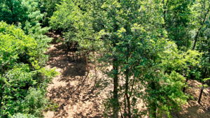 14XXX Dellwood Rd Photo 3