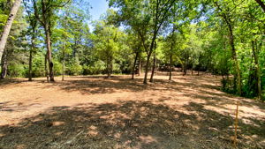 14XXX Dellwood Rd Photo 49