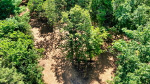 14XXX Dellwood Rd Photo 7