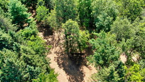 14XXX Dellwood Rd Photo 8