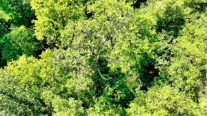 14XXX Dellwood Rd Photo 45