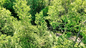 14XXX Dellwood Rd Photo 48