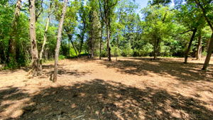 14XXX Dellwood Rd Photo 50