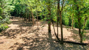 14XXX Dellwood Rd Photo 1