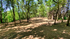 14XXX Dellwood Rd Photo 54