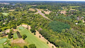 14XXX Dellwood Rd Photo 24