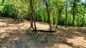 14XXX Dellwood Rd Photo 5