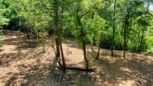 14XXX Dellwood Rd Photo 6