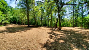 14XXX Dellwood Rd Photo 55