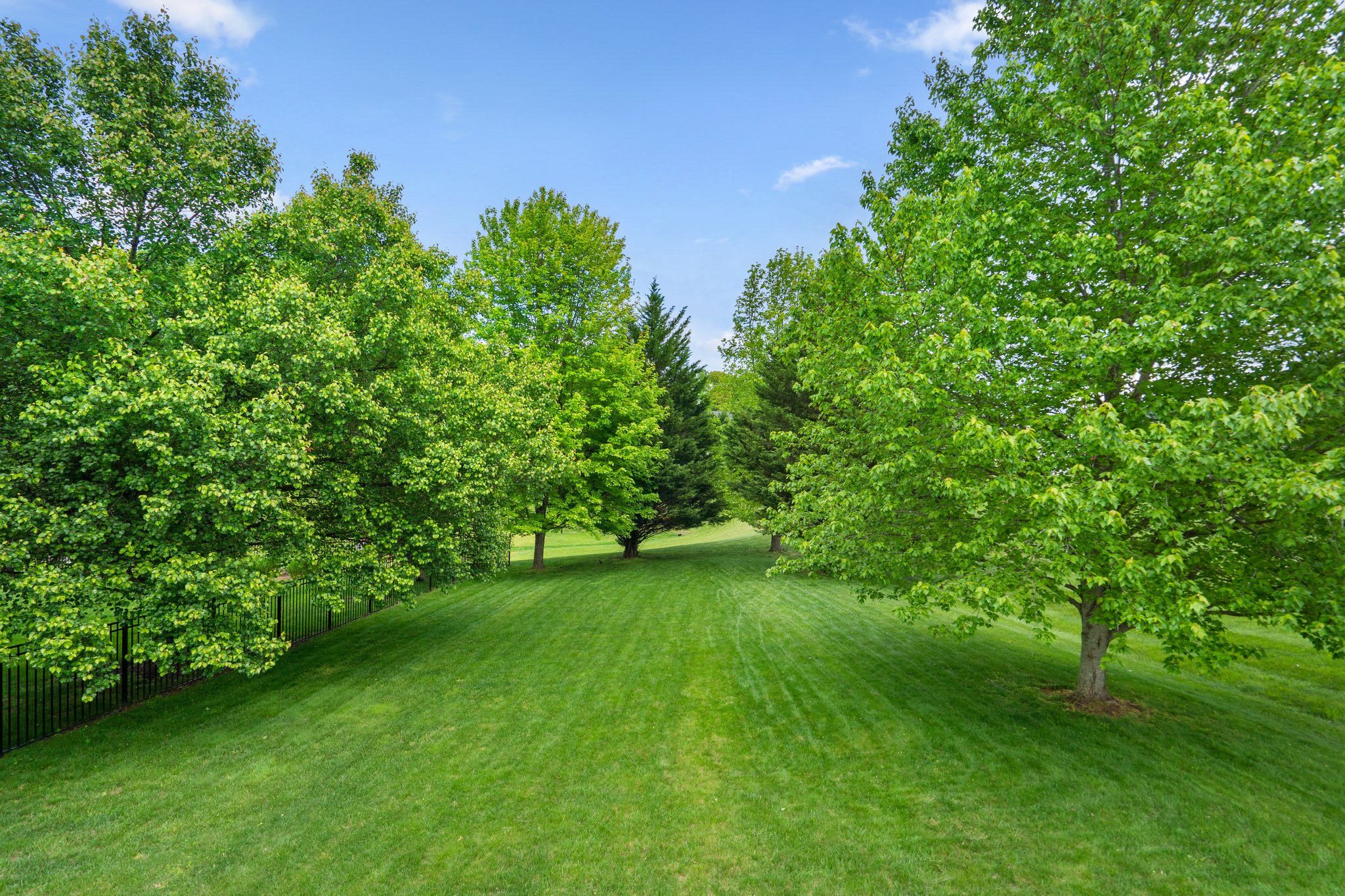 74. 14413 Autumn Crest Rd.jpg
