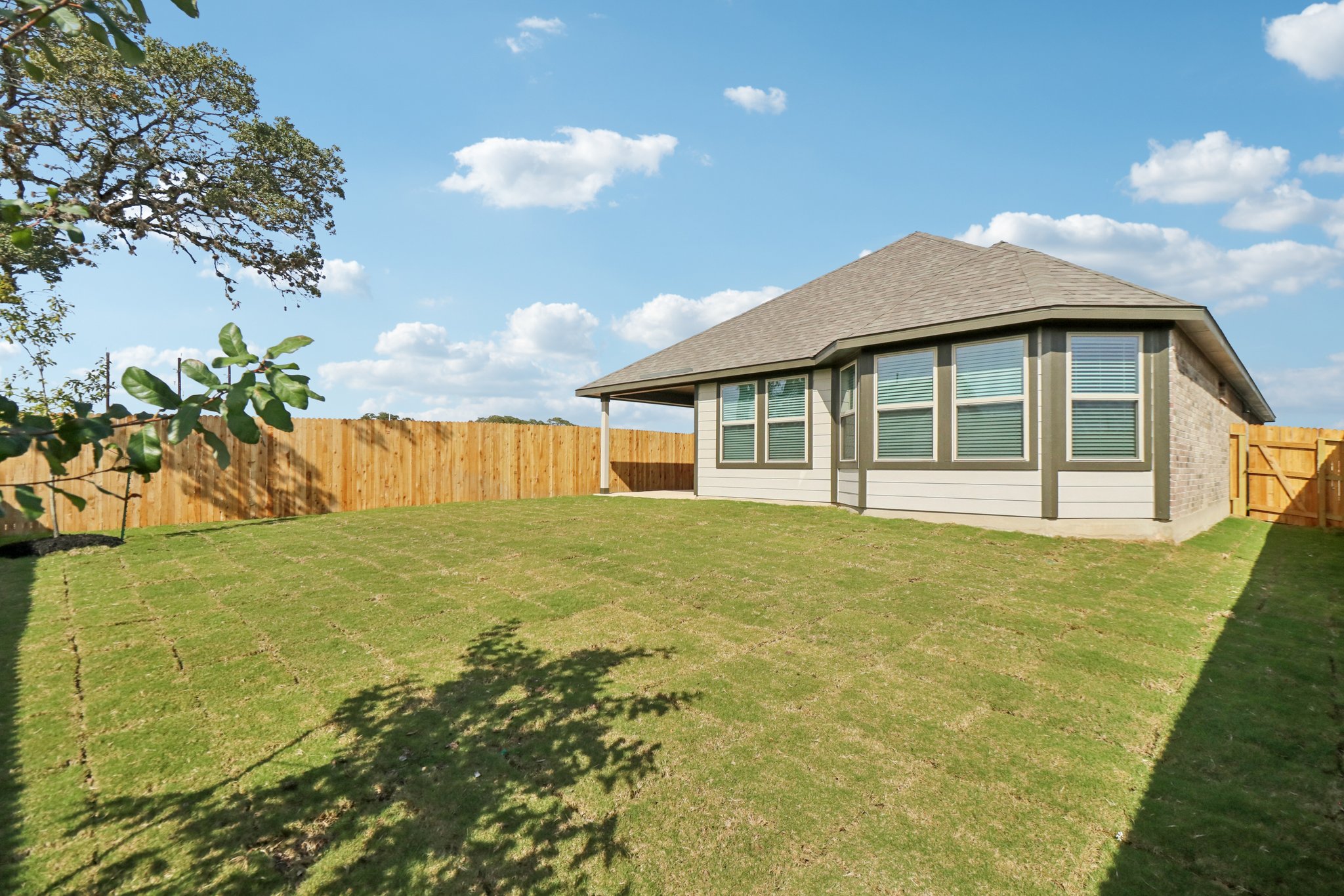 14504 Galloping Colt-S1712-002.jpg