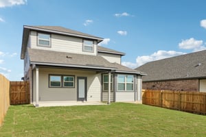 14426 Galloping Colt-S1712-002.jpg