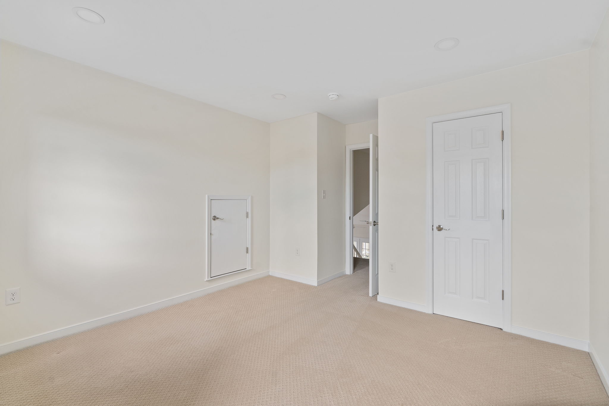 Walk-In Closet and eave storage