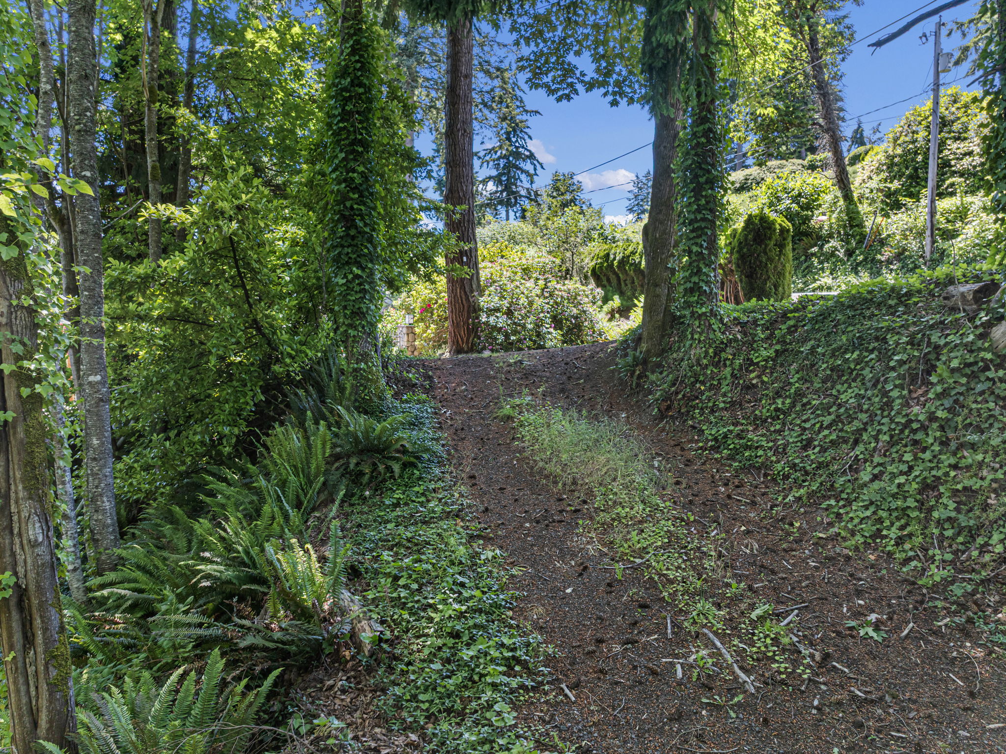 Shared easement to property