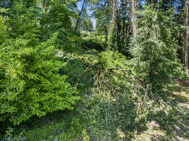 Great natural setting