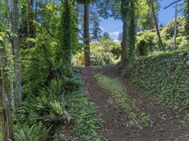 Shared easement to property