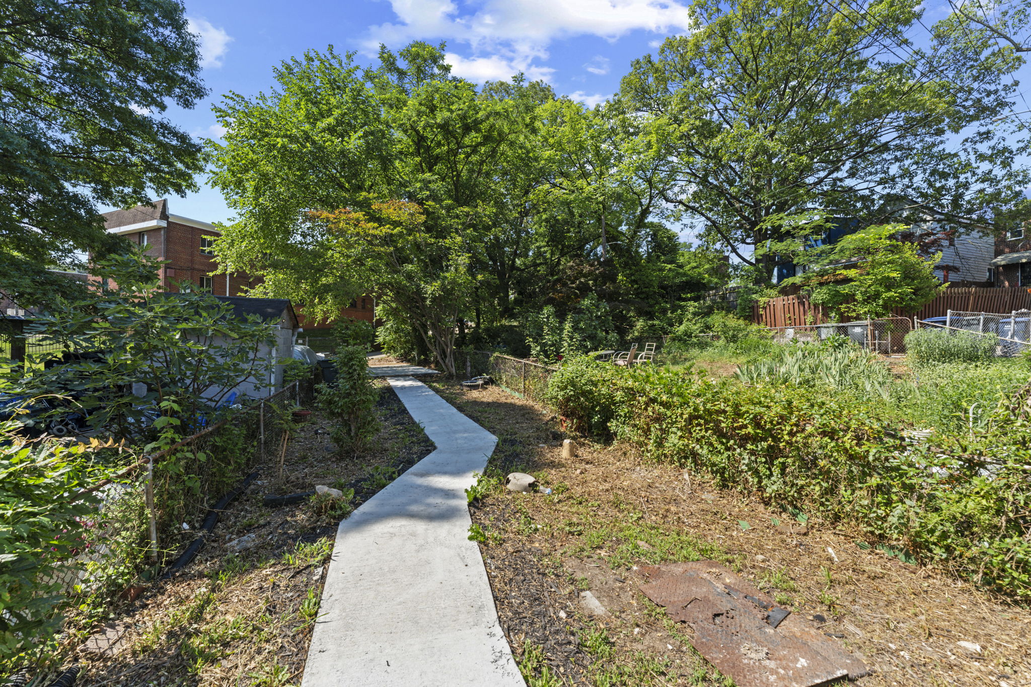 Back Yard