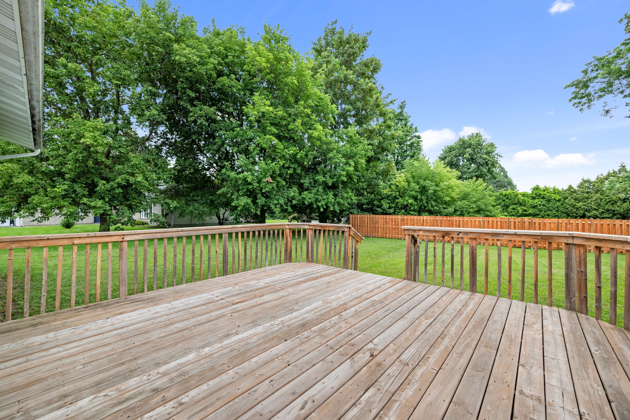  Photo 56