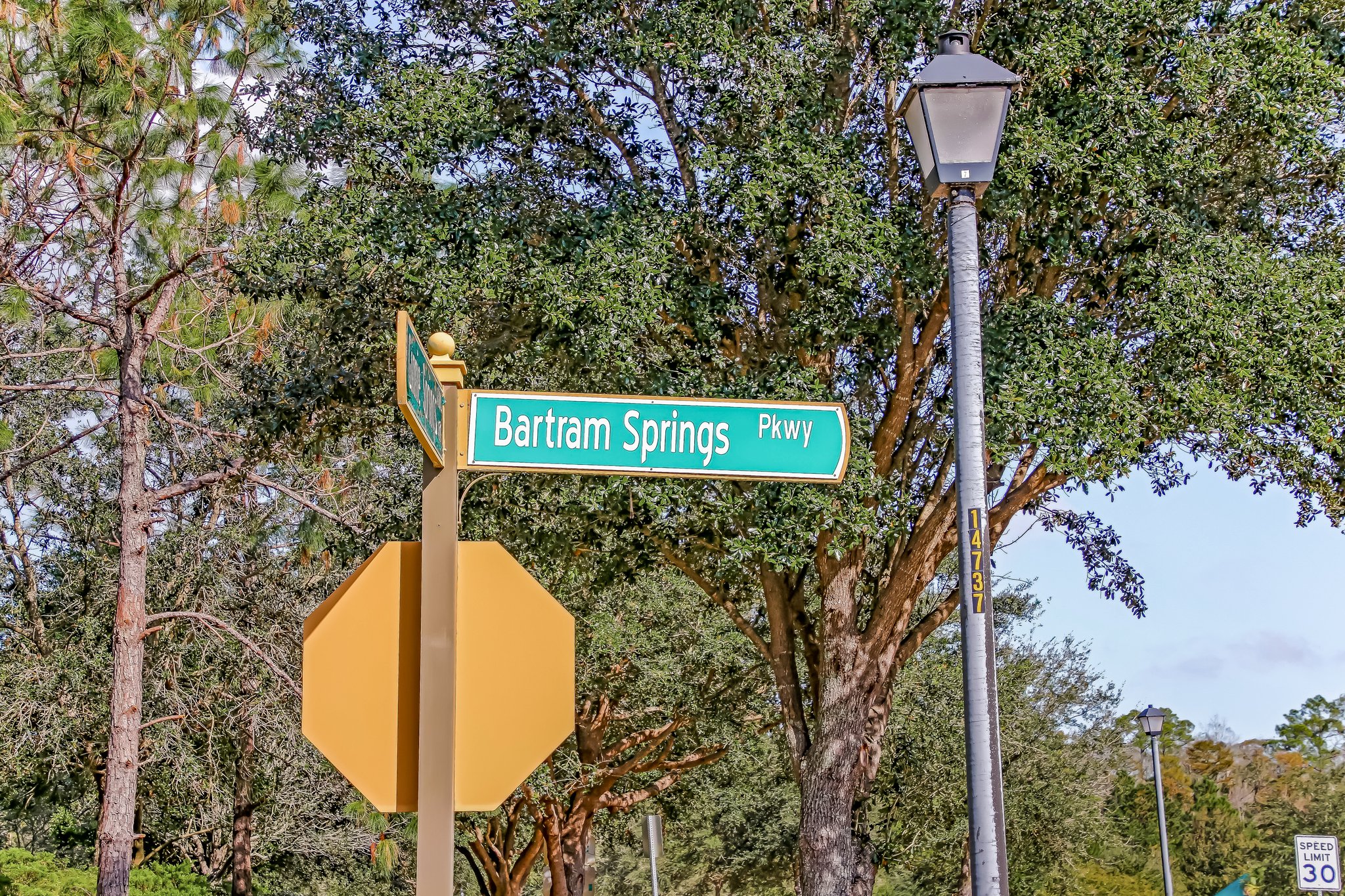 Bartram Springs