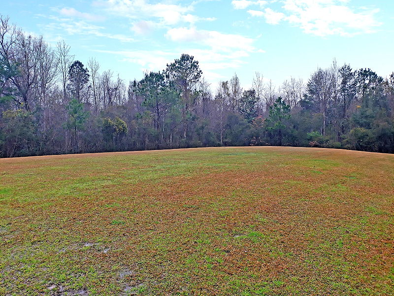  Photo 33