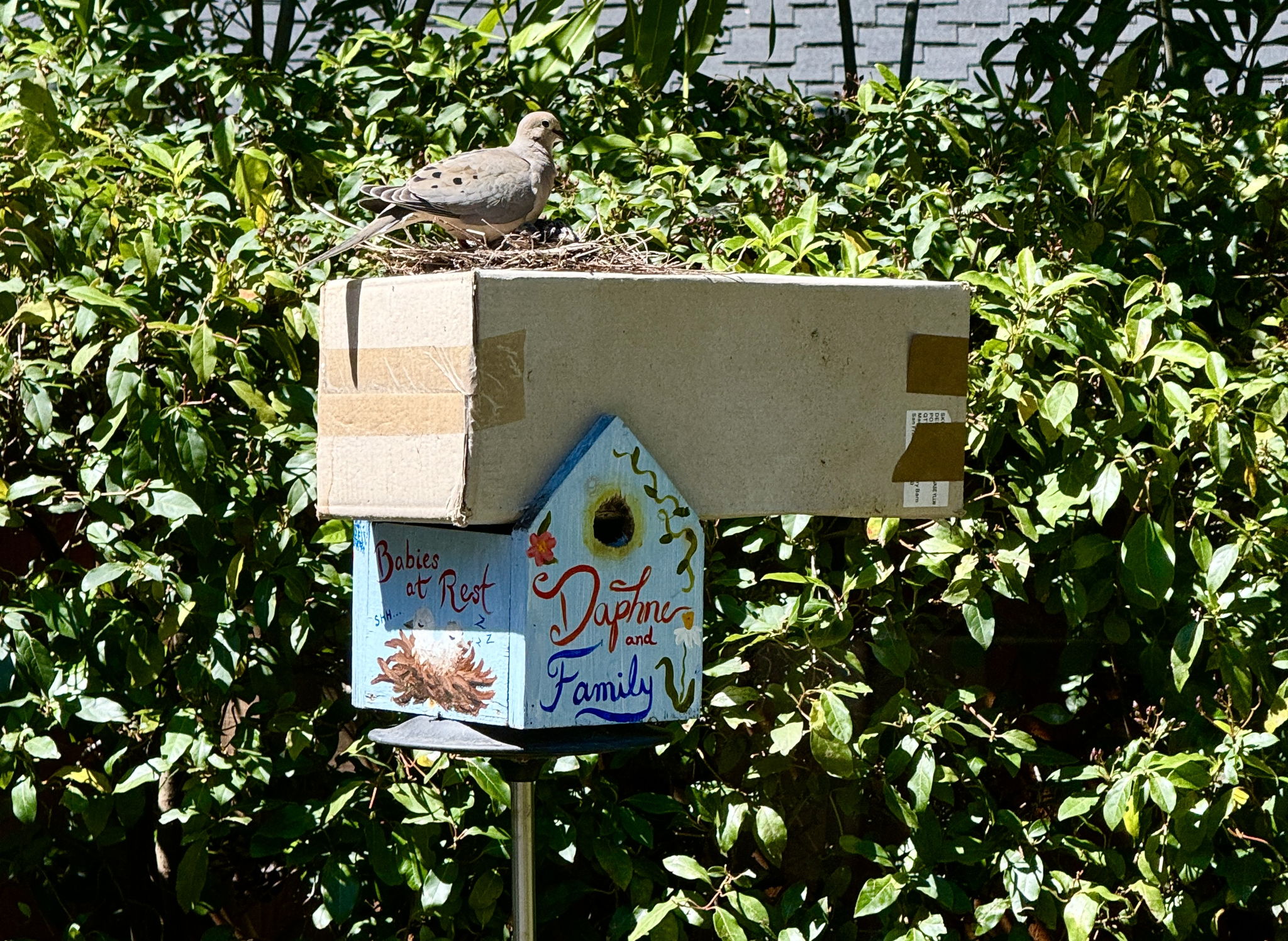  Photo 46