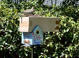  Photo 45