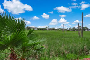 Marsh View