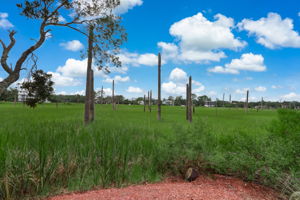 Marsh View