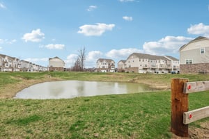 Caymus Ct-S3103-040.jpg