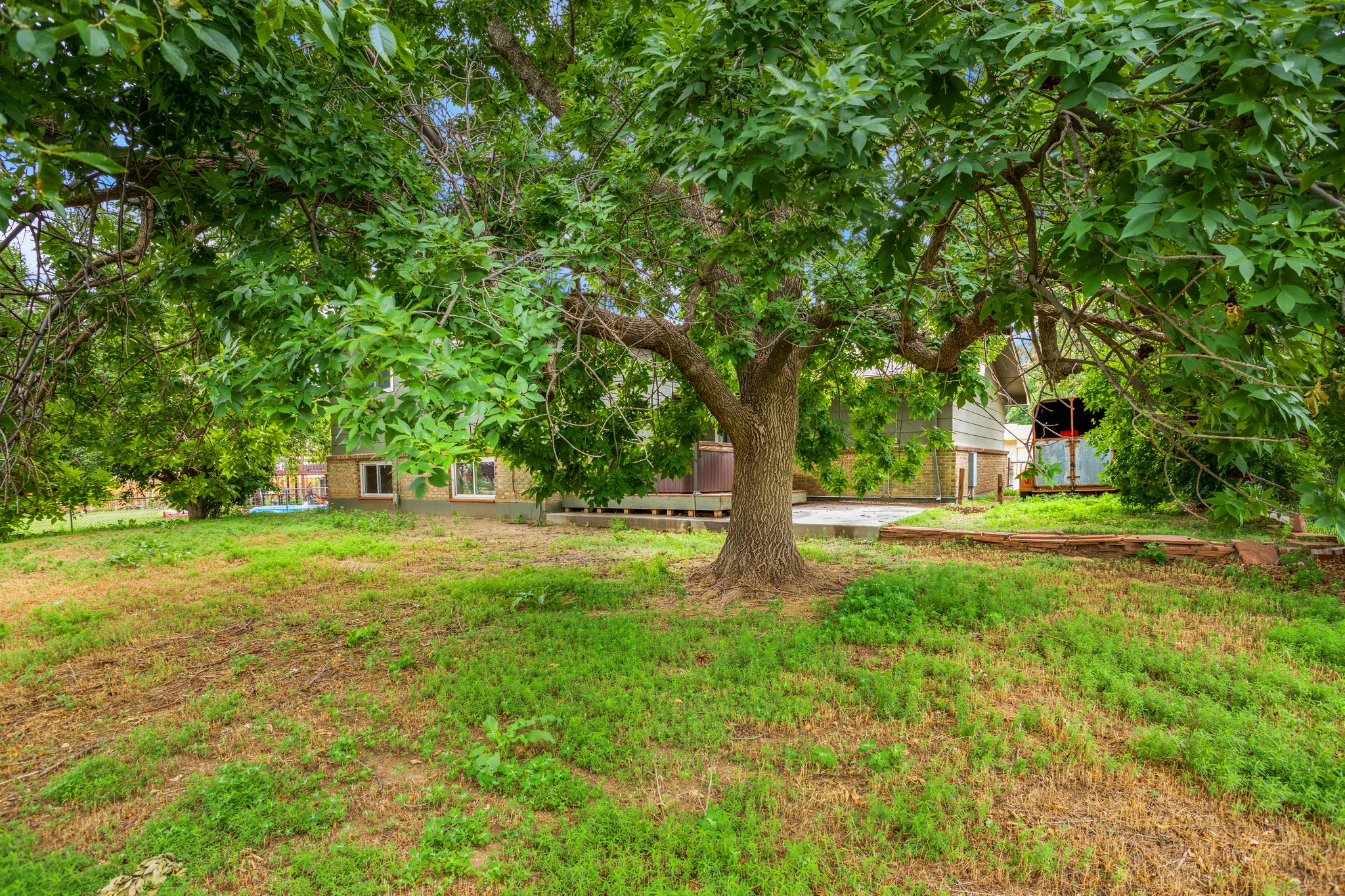 Back Yard