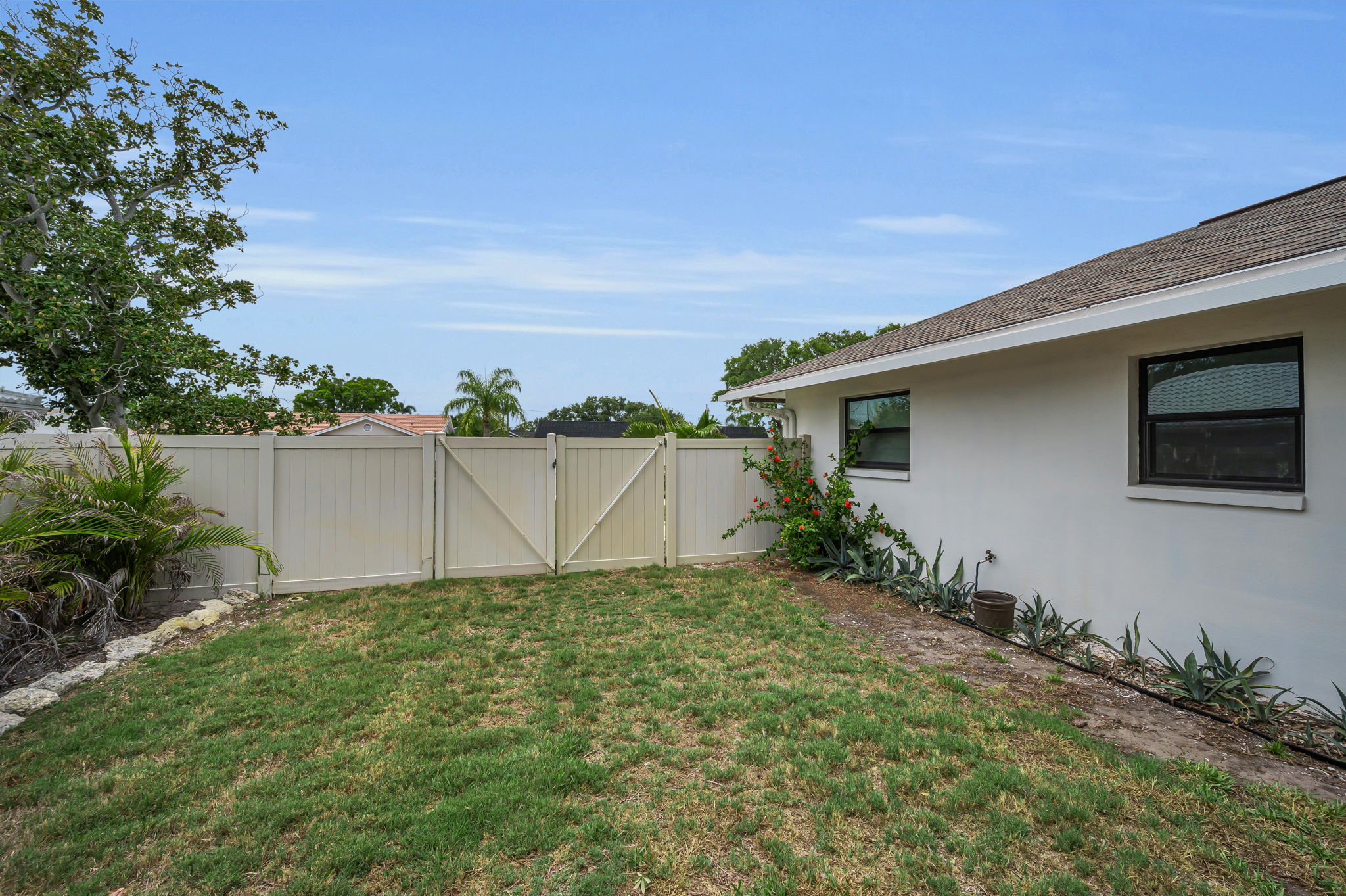 Backyard1