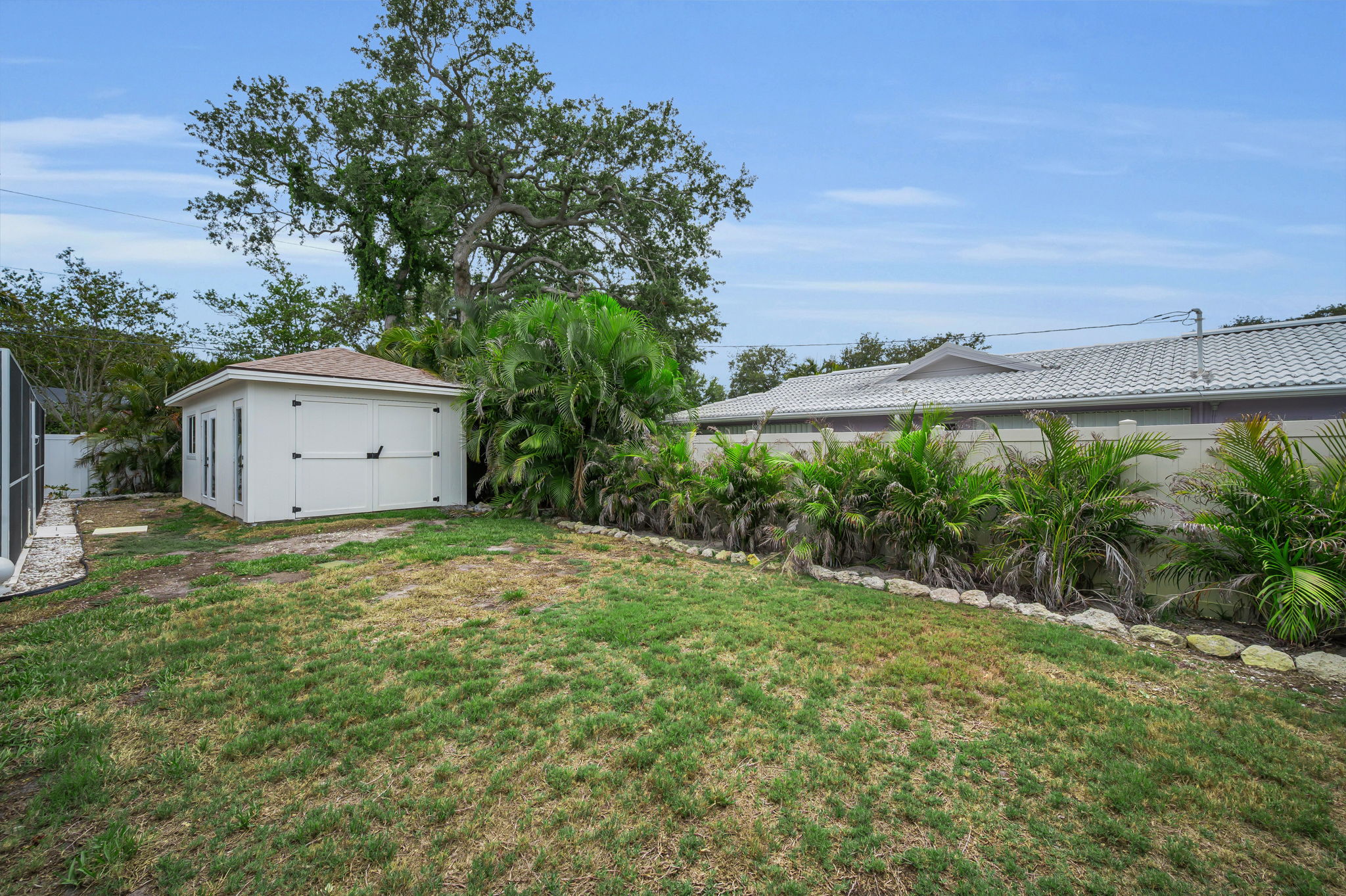 Backyard2